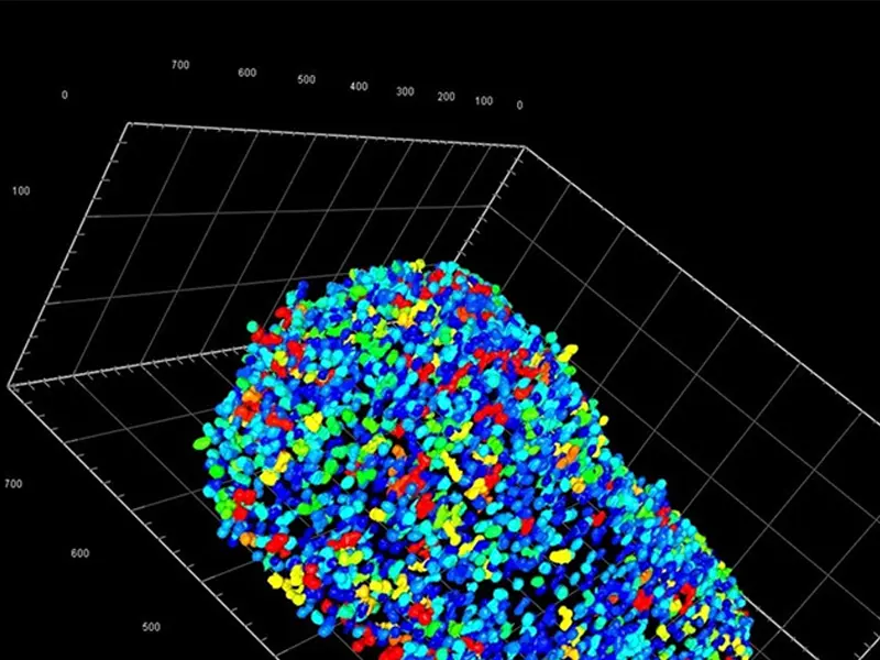 The function of eyepiece lens and objective lens in microscope.