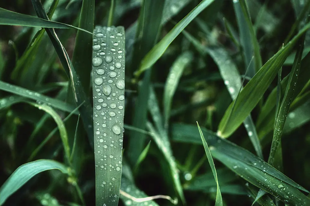 The interrelationship between Camera and Lens Resolution